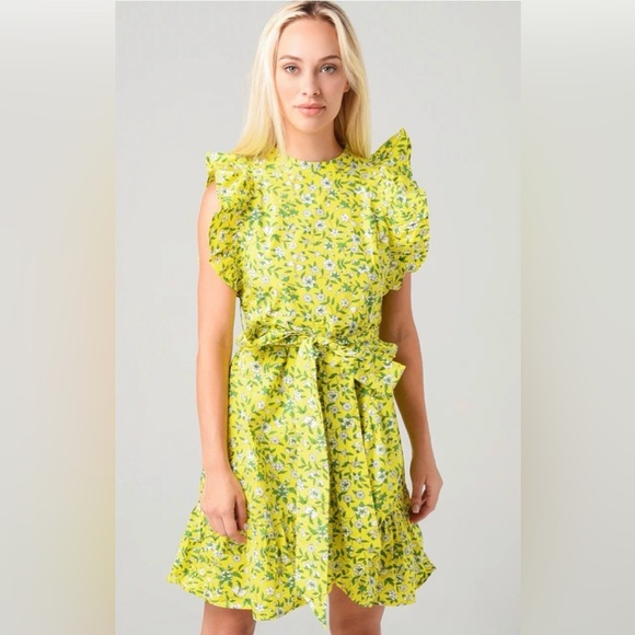 Banjanan Dresses & Skirts - Banjanan Audrey Mini Dress